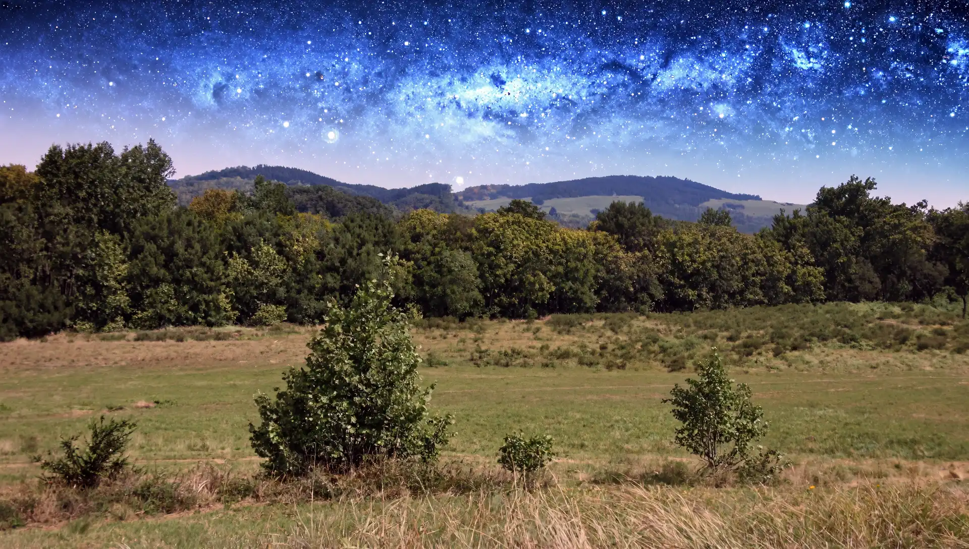 Photography by Fiimu