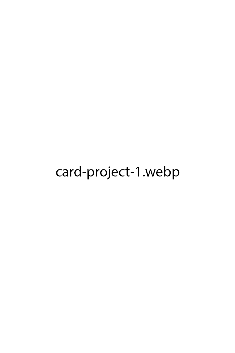The Project 1